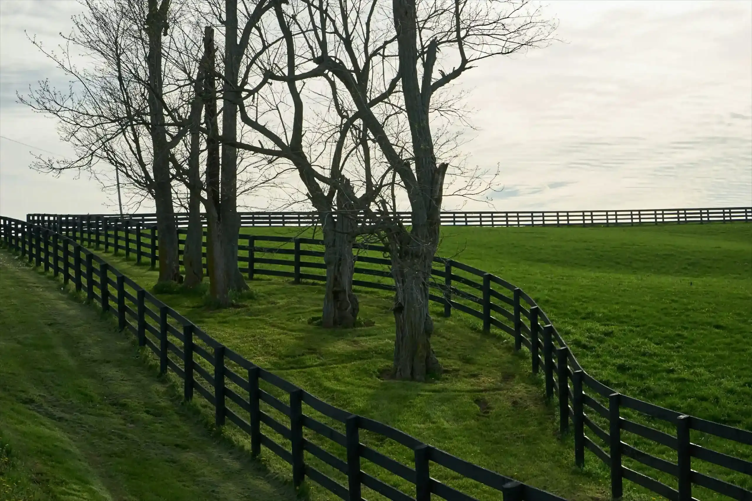 Horse Fencing Ideas