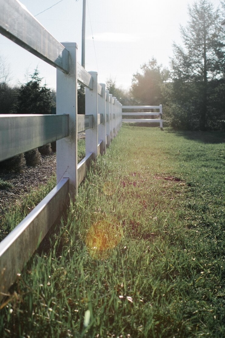 Remediation Fencing