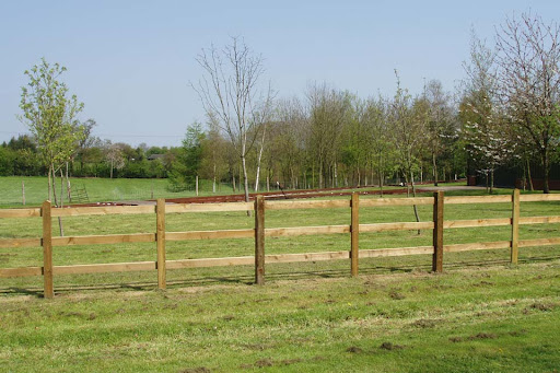 Sheep Fencing Services